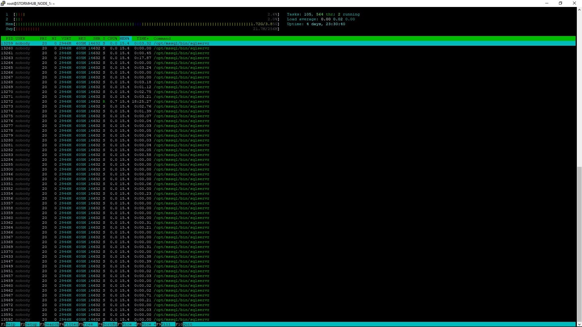 Stormhub "htop" output when fully operational.