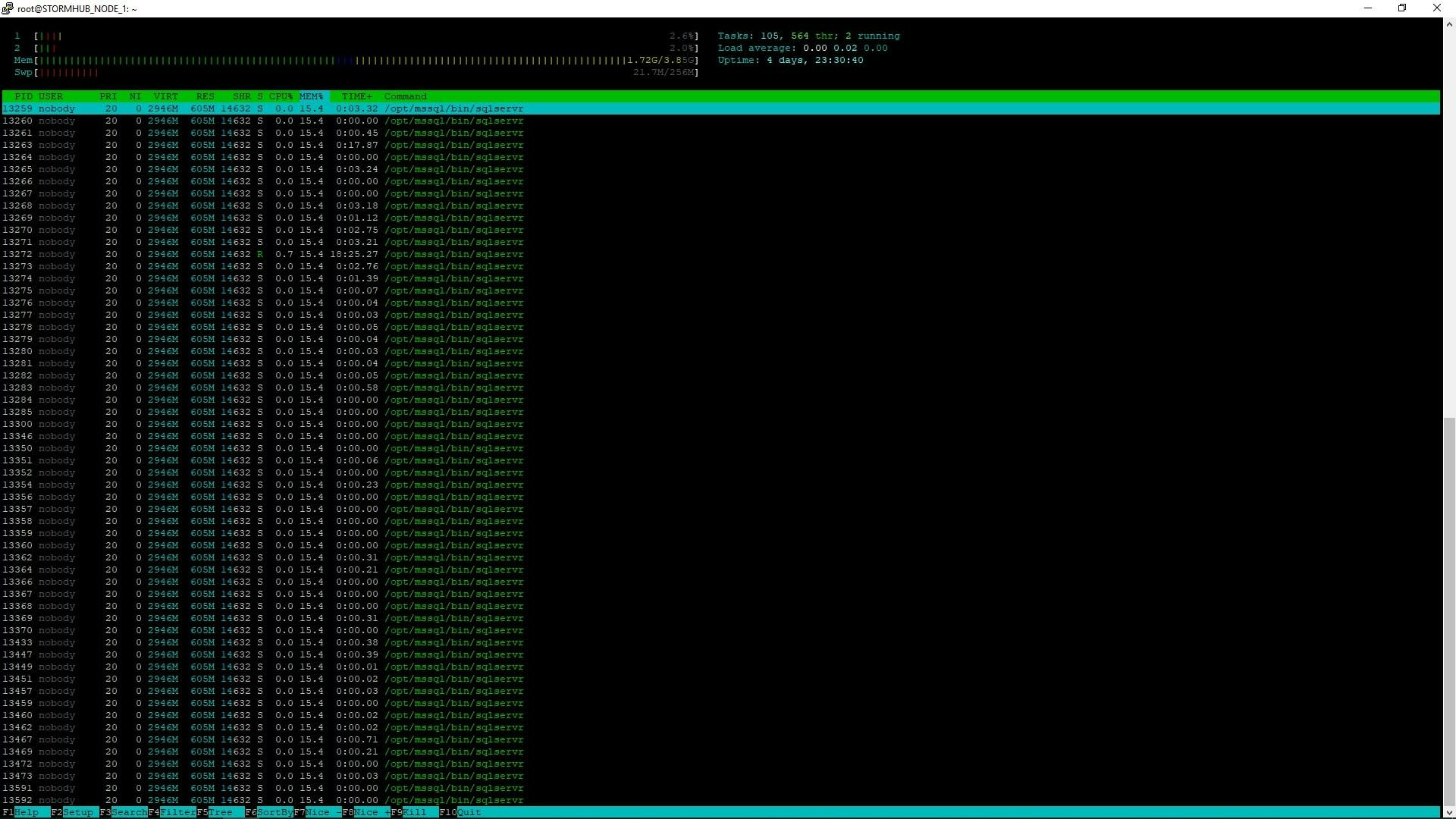 Stormhub "htop" output when fully operational.